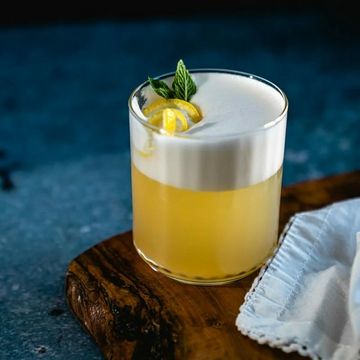 Gin Fizz Cocktail