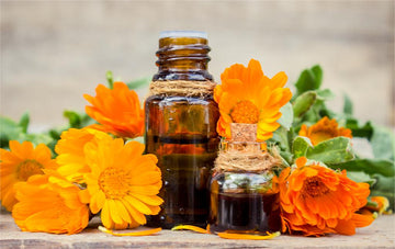 Calendula Hydrosol